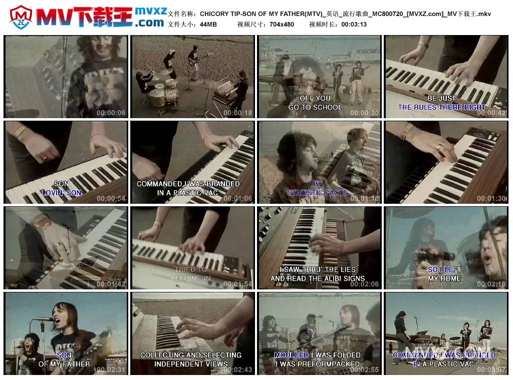 CHICORY TIP-SON OF MY FATHER(MTV)_英语_流行歌曲_MC800720